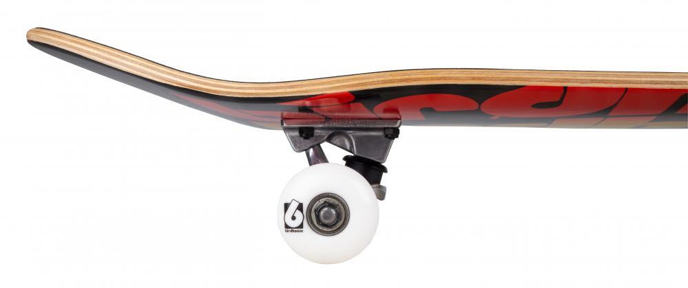 Birdhouse Stage 1 Triple Stack 8" Skateboard 5/5
