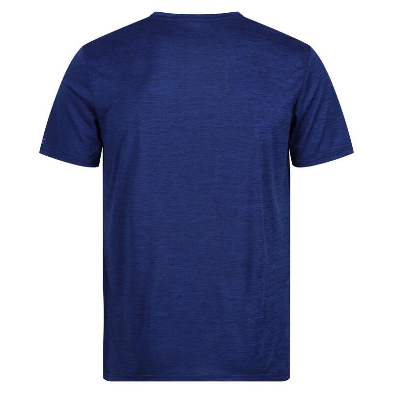 Tshirt FINGAL EDITION Homme (Bleu roi)