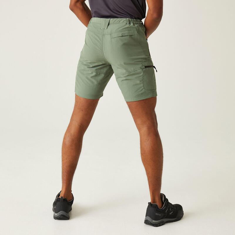 PANTALONES CORTOS SENDERISMO REGATTA LESVILLE II. Green RMJ235