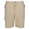 Short de marche LEESVILLE Homme (Avoine)