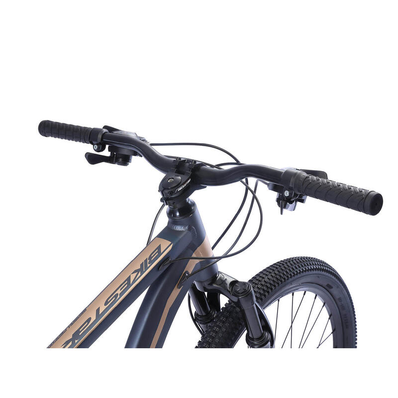 Bikestar Hardtail MTB Alu Sport Large 29 Inch 21 Speed grijs/goud