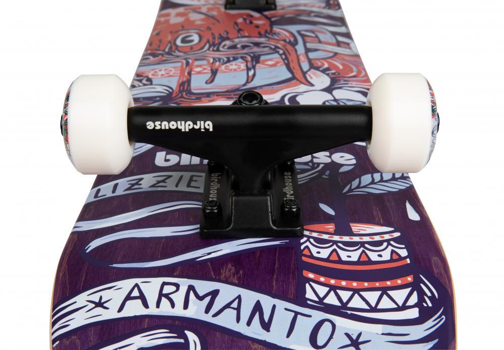 Stage 3 Armanto Favourites 7.75 Complete Skateboard 4/5