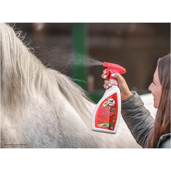 Spray Démêlant Power Camomille - LEOVET 3/5