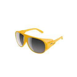 Gafas de trekking Poc Nivalis S3 adulto