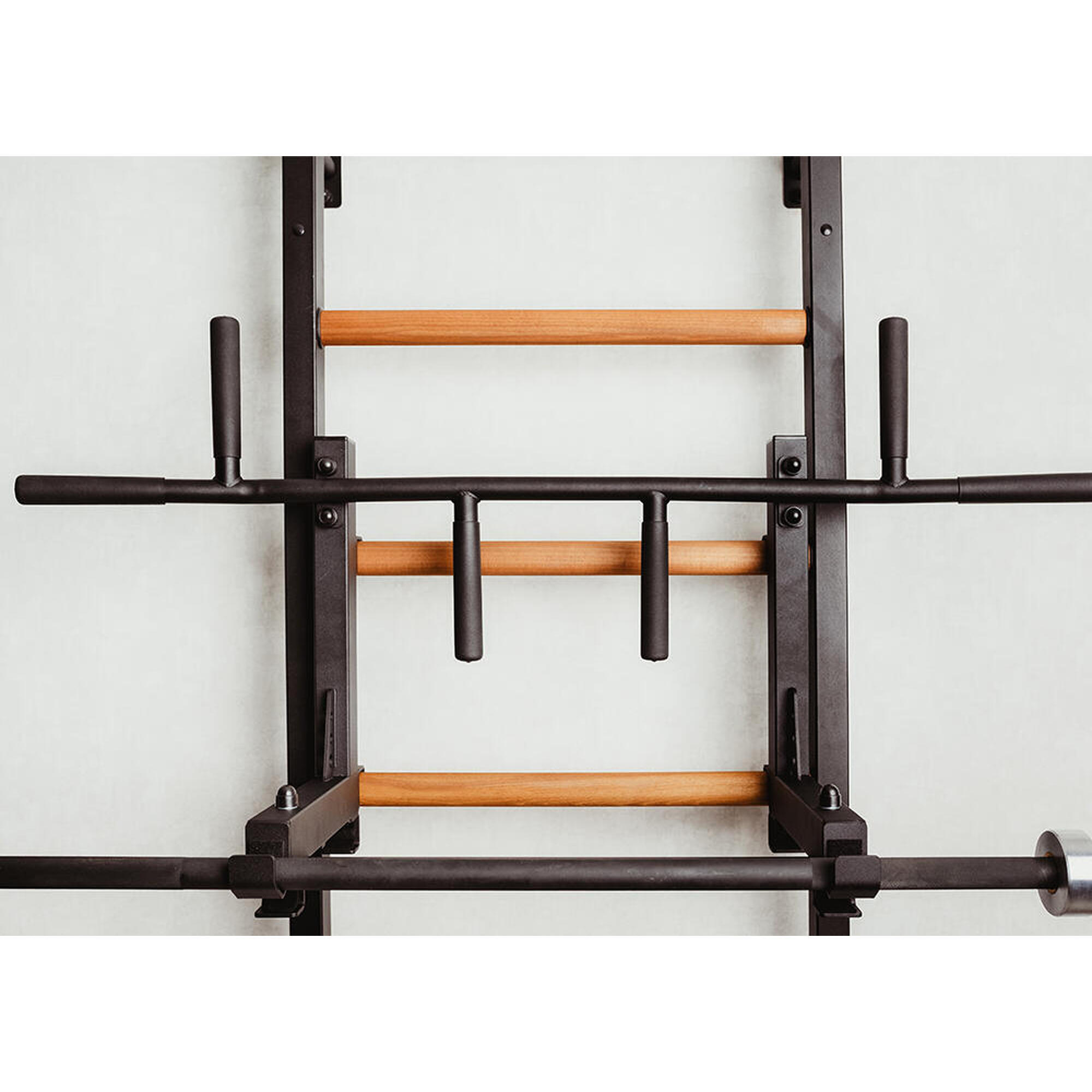 BenchK espalier system 231B