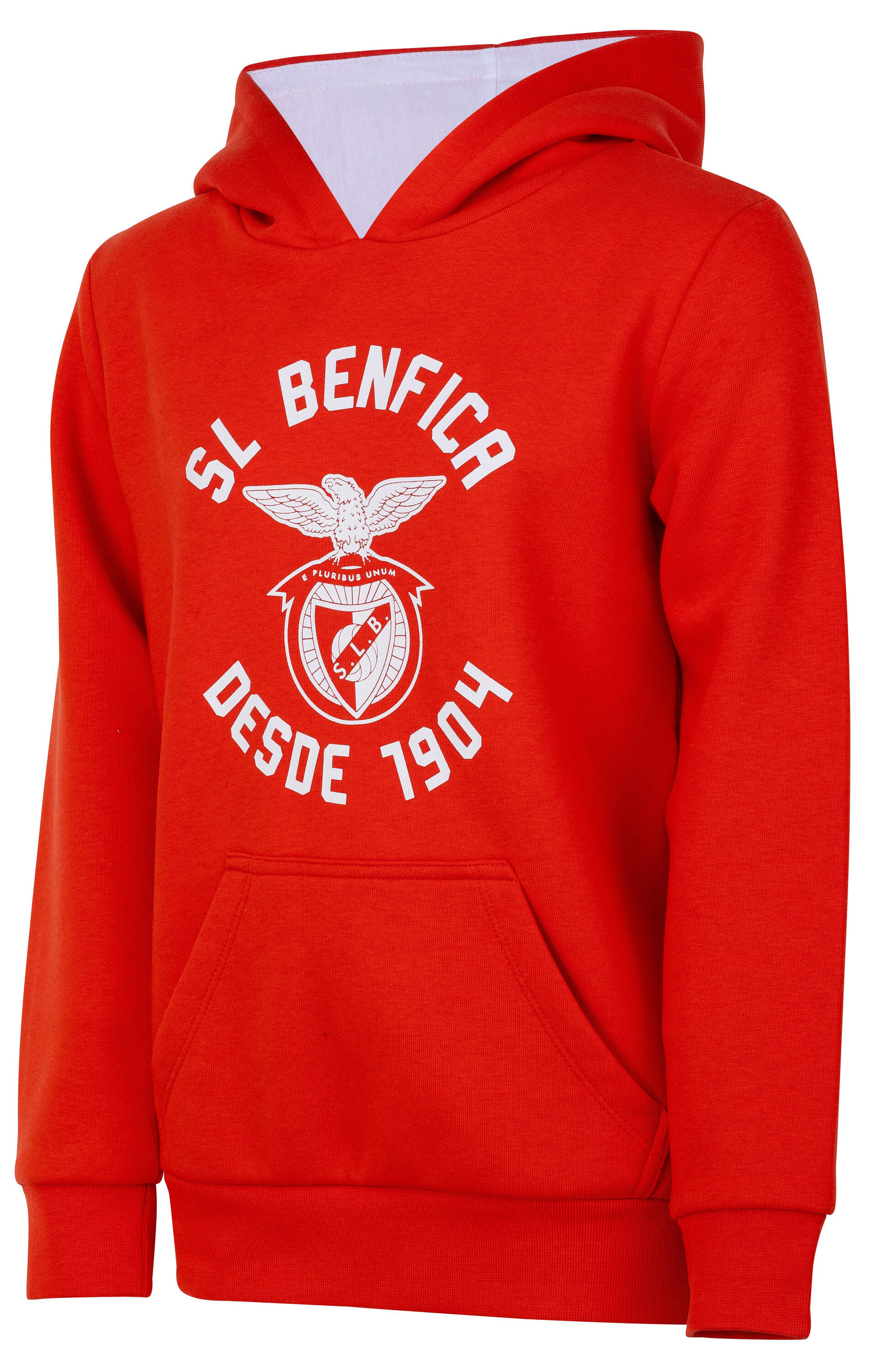 SL BENFICA picture