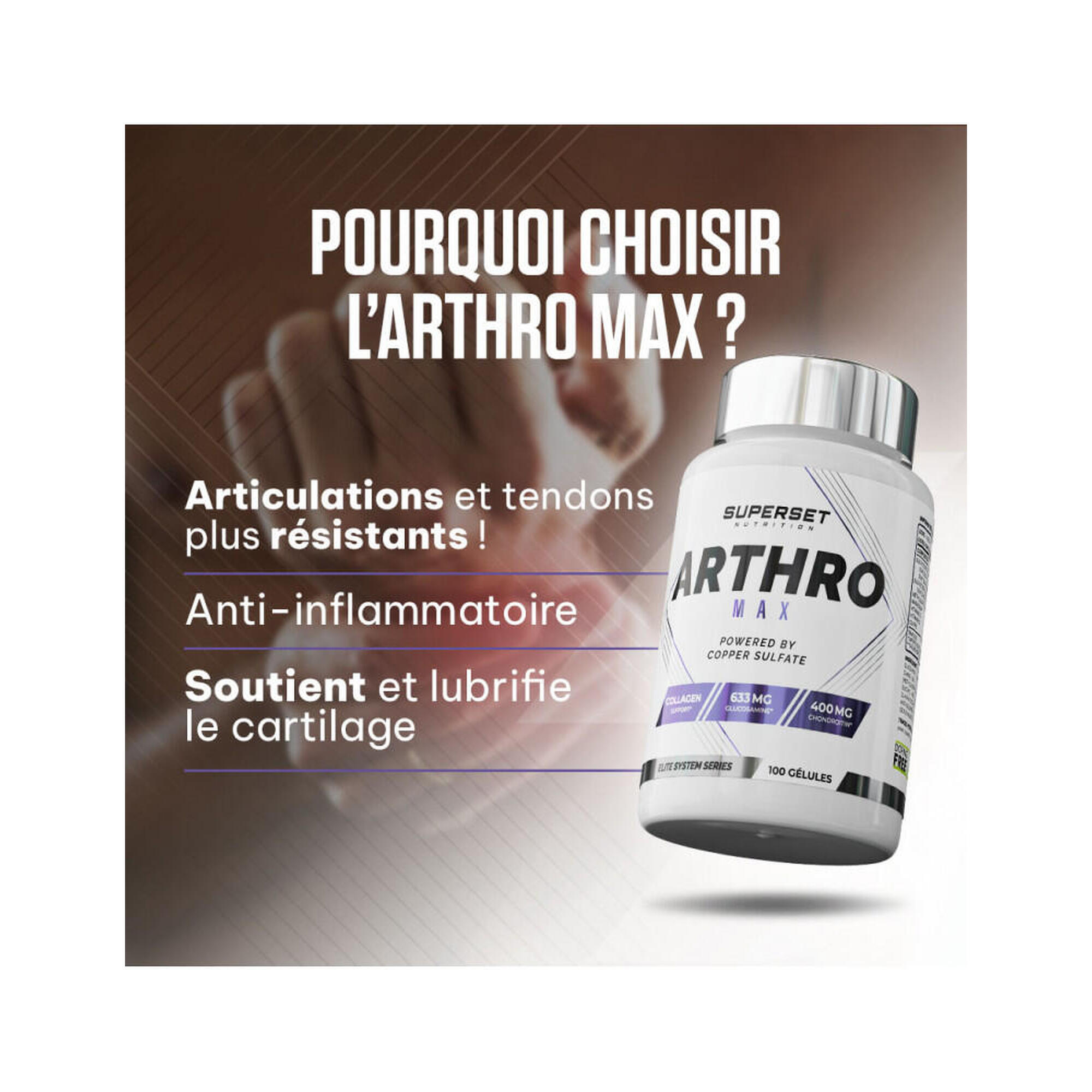 ARTHRO MAX (100 caps) |