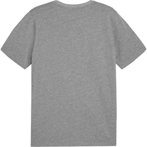 Koszulka sportowa męska Puma Team Goal Casuals