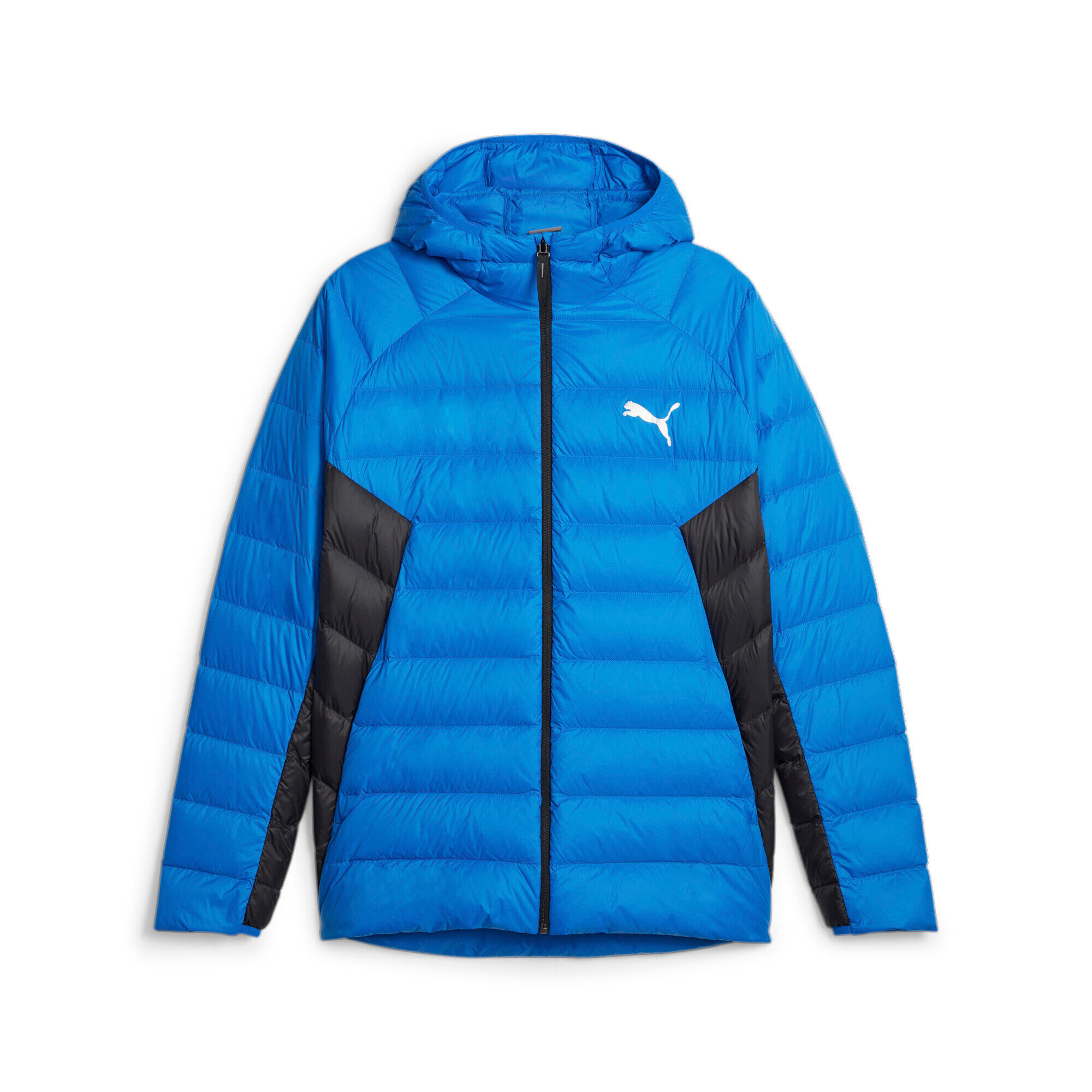 PUMA picture
