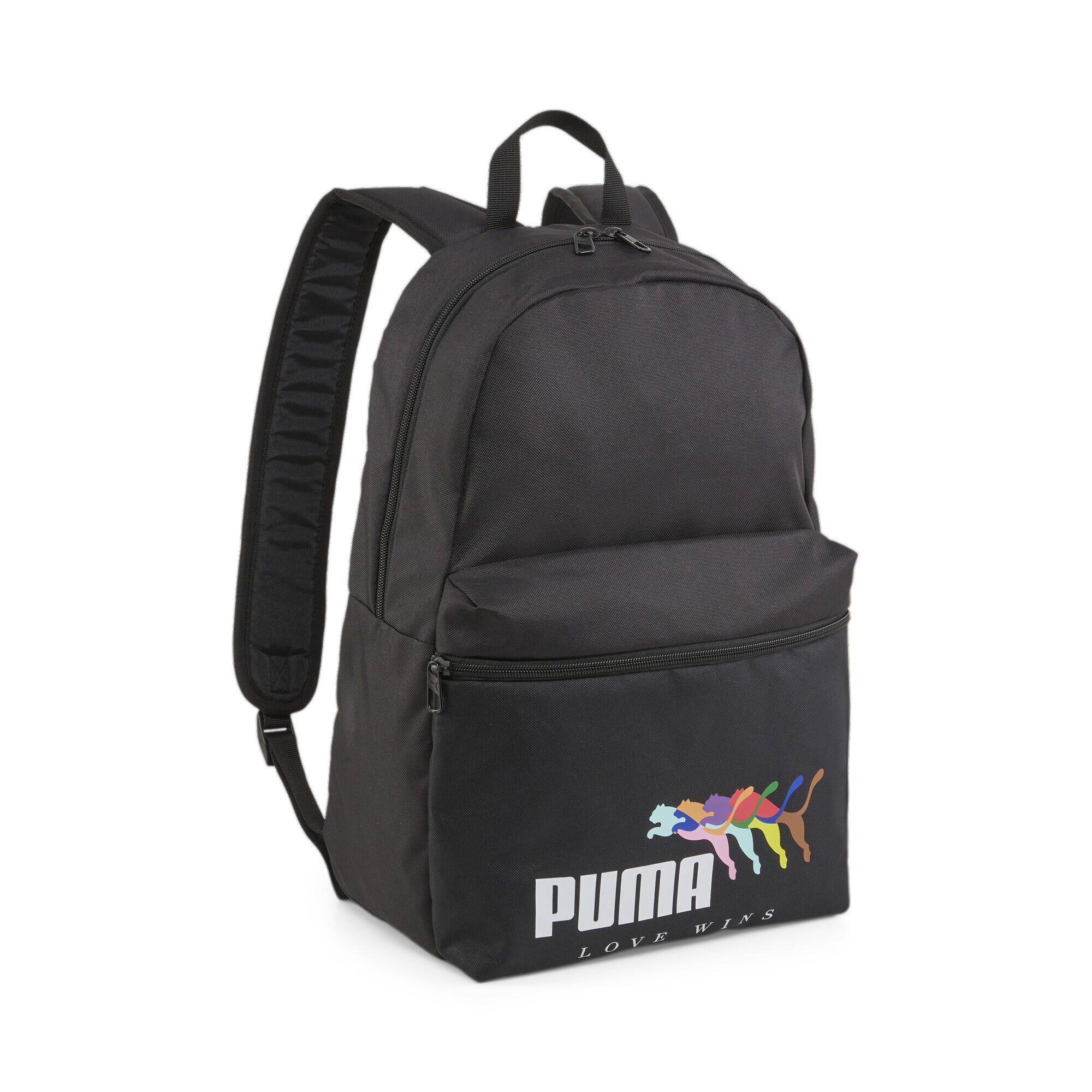 PUMA picture