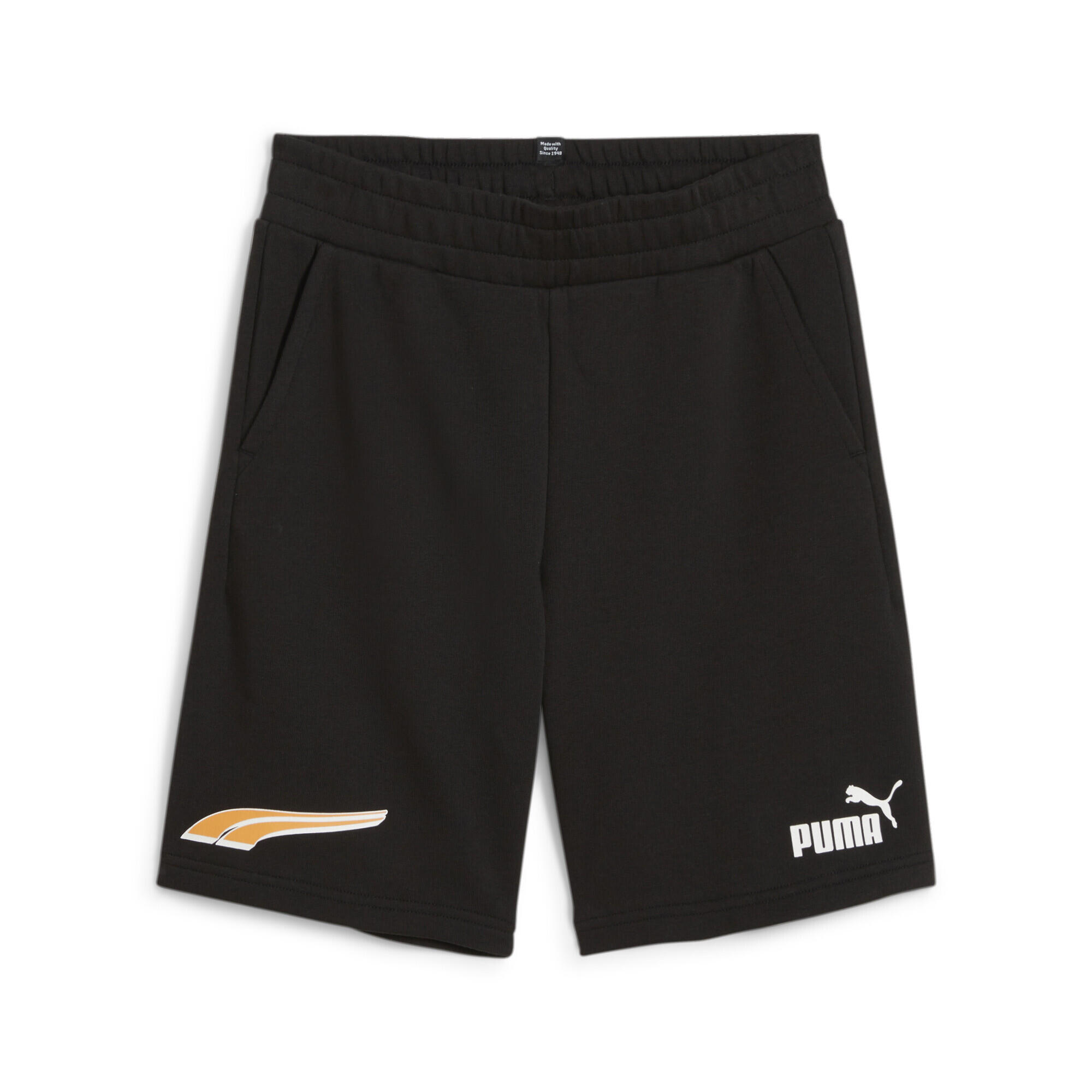 PUMA picture