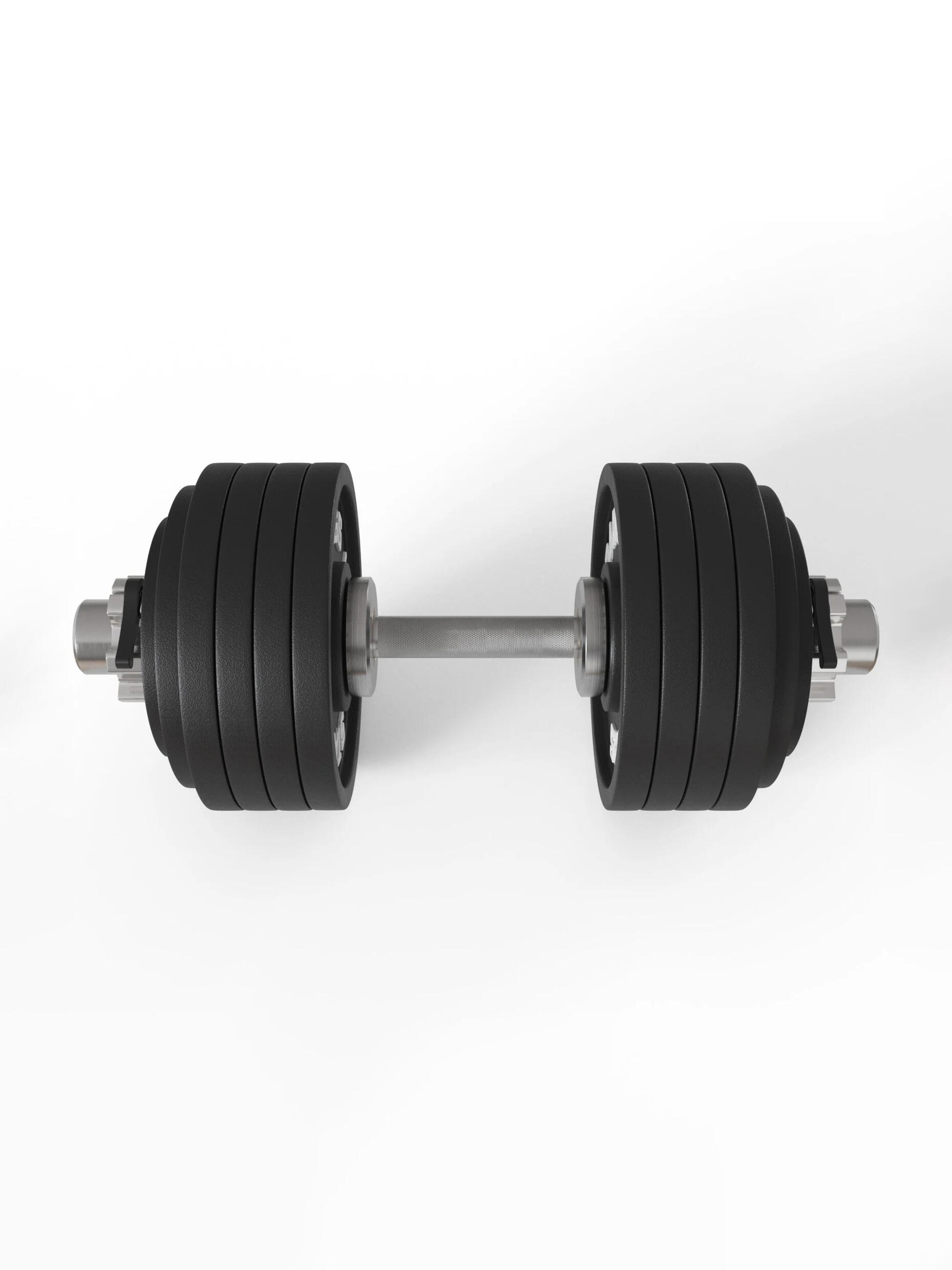 L1 Olympia | Kurzhantel Set | 52 cm | 47,5 kg Iron Plates | Ø 50 mm 2/7