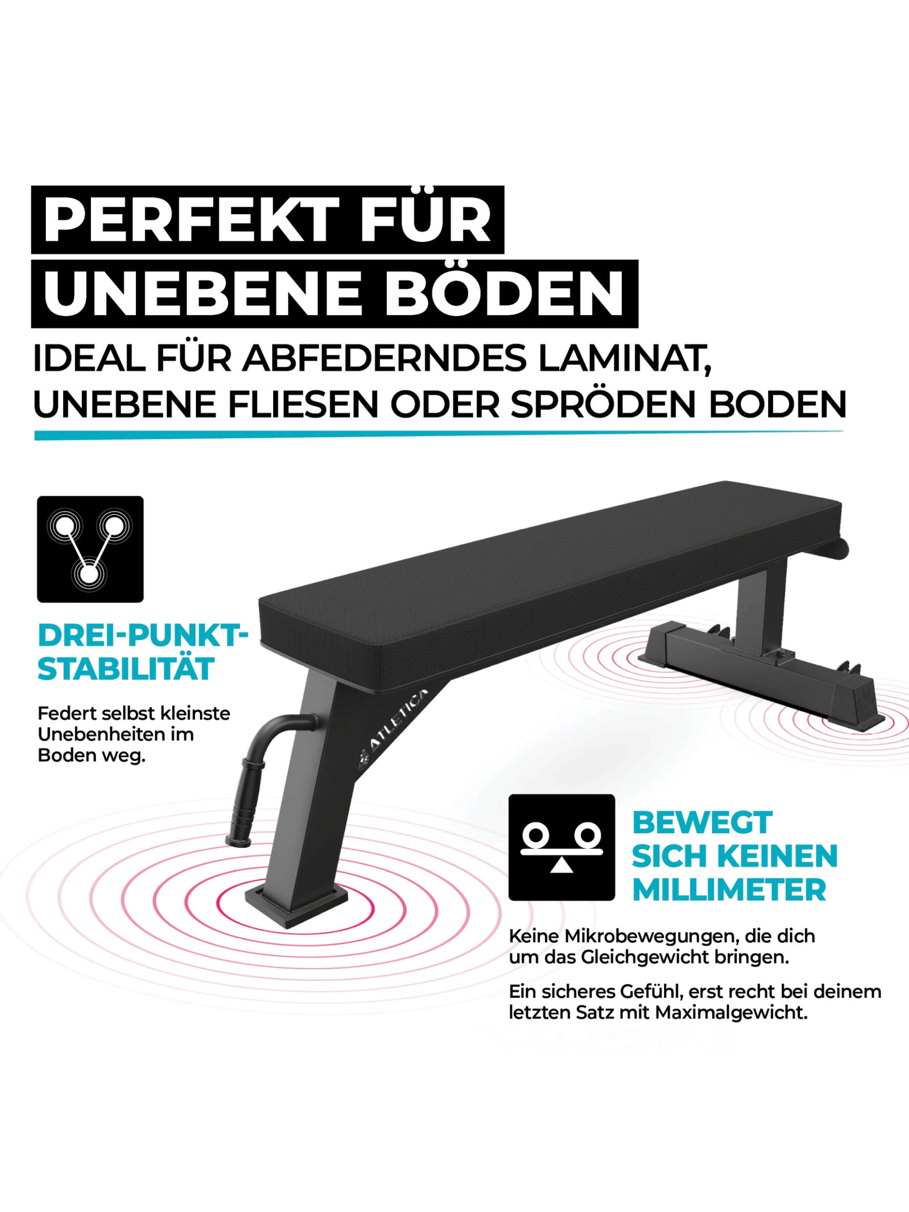 B1 Hantelbank - Leder | Flachbank | Vertical Storage | Studio-Qualität 6/7