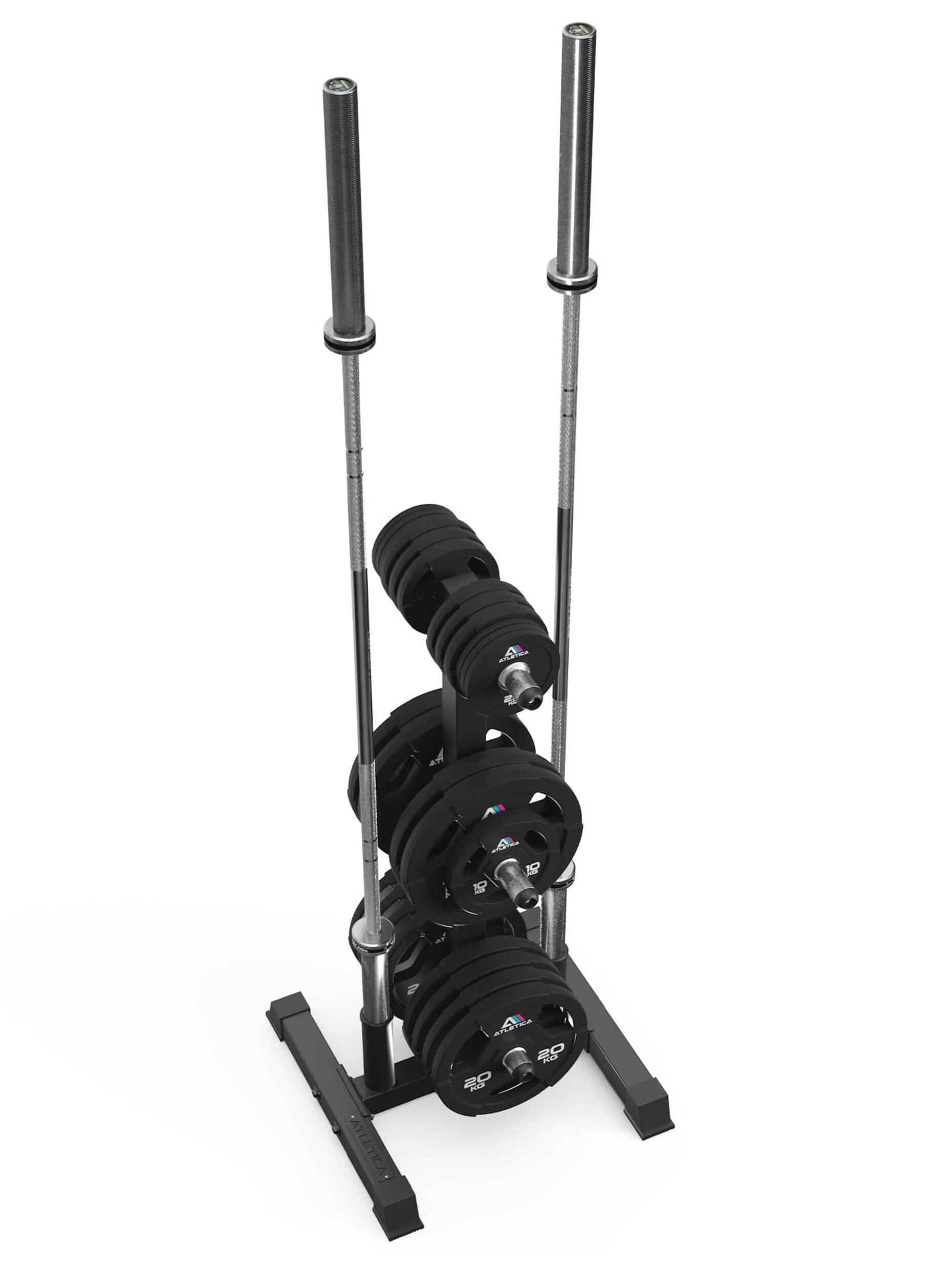 Rhino Storage Ablage für Gewichte | Für Ø 50 mm Scheiben und Stangen 6/7