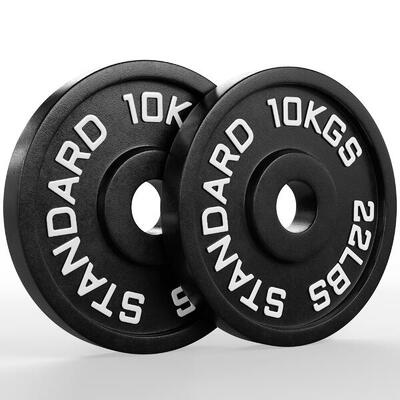 Iron Plates | Paar | 2x10kg | Gusseisen Hantelscheiben | Ø 50 mm