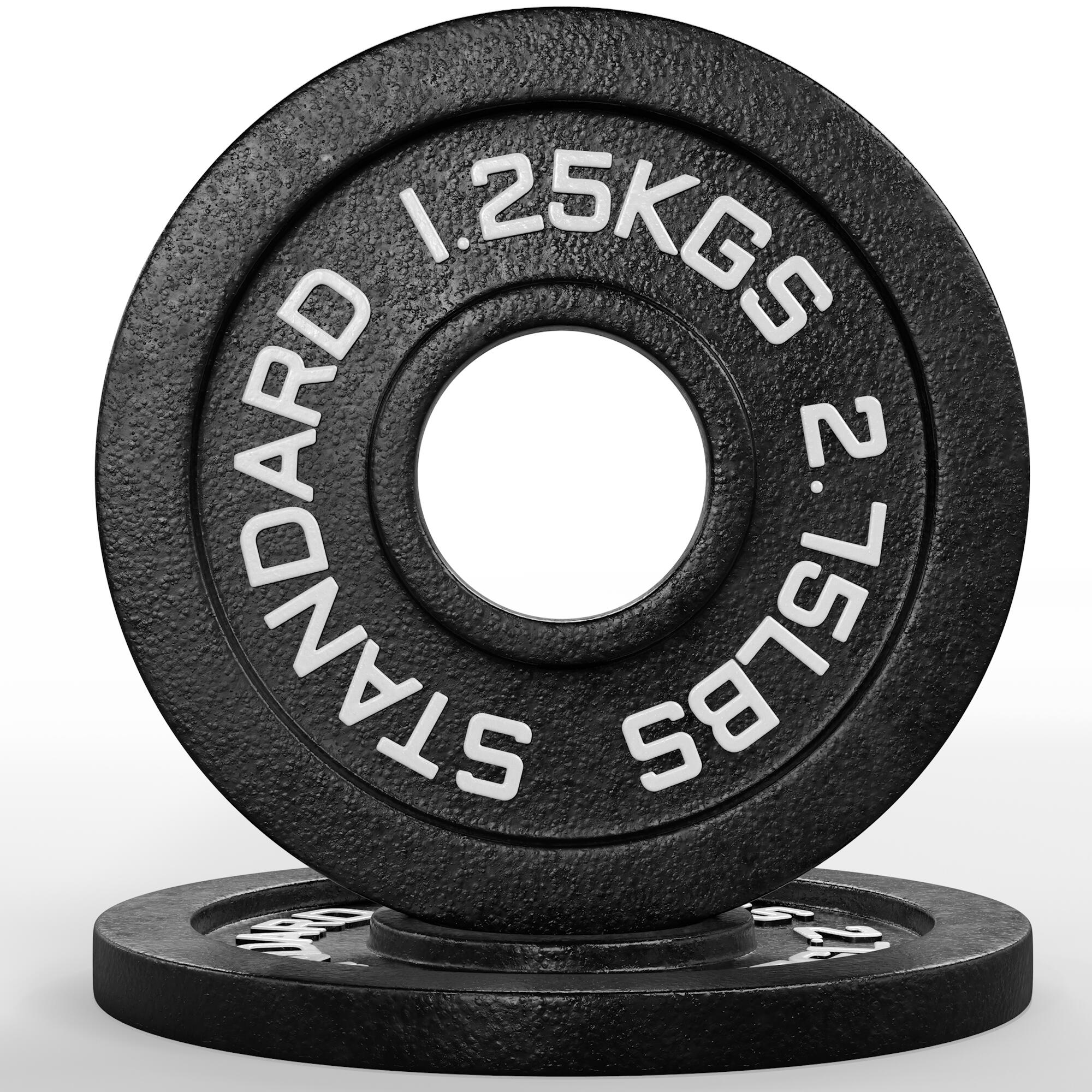 Iron Plates | Paar | 2 x 1.25kg | Ø 50 mm | Gusseisen Hantelscheiben 2/3