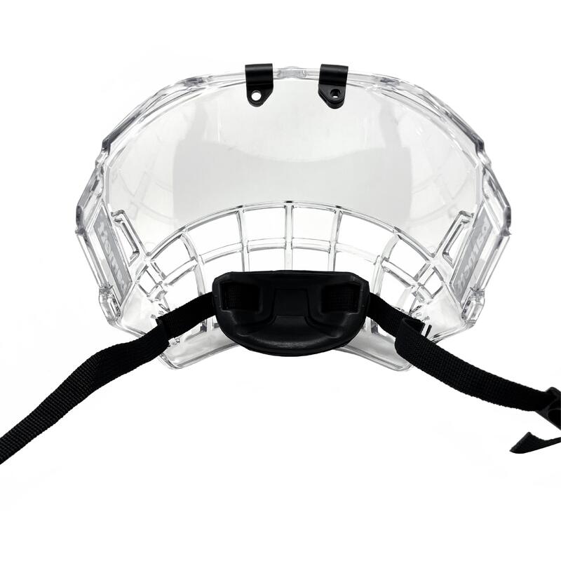 FV100 Hockey vizier