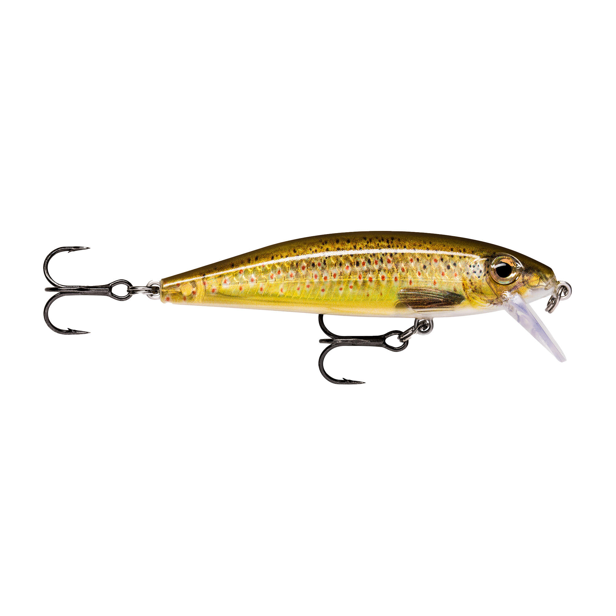 RAPALA picture