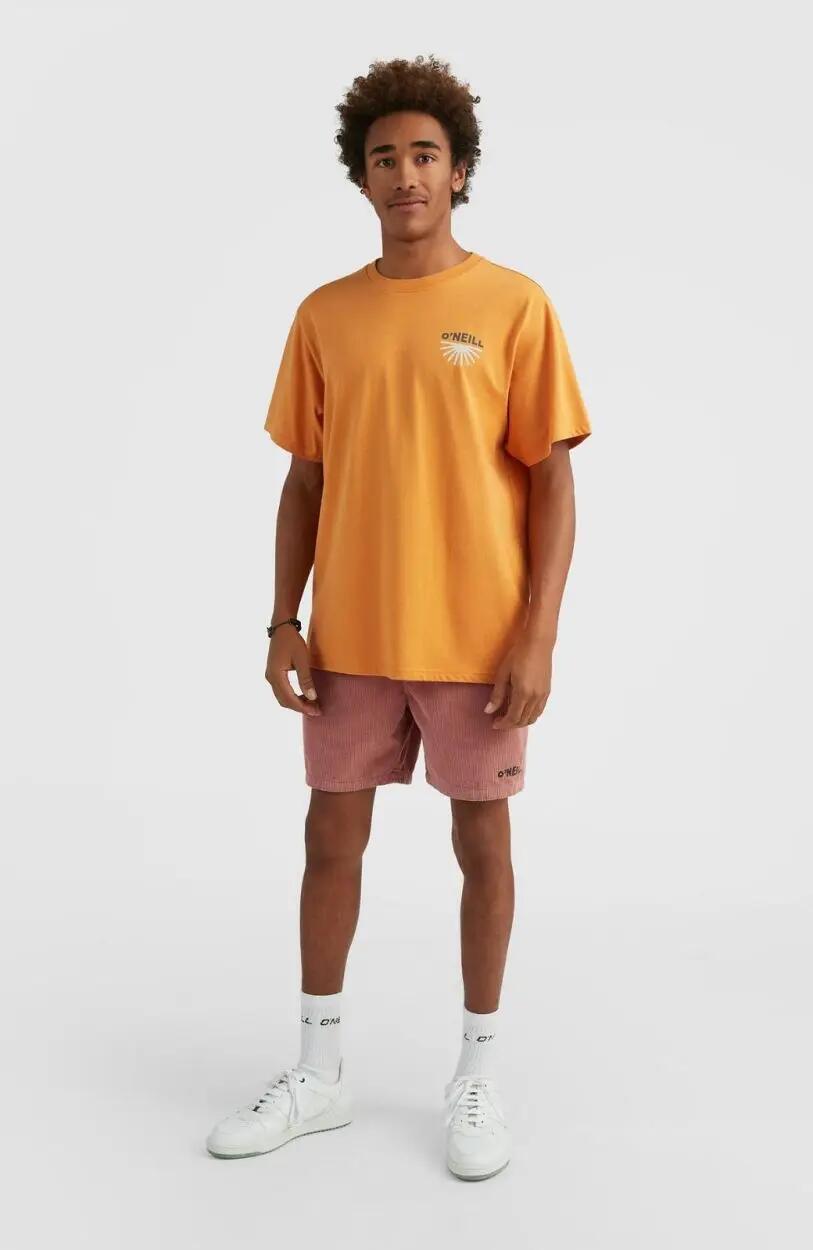O'NEILL O'neill T-Shirts ALBOR T-SHIRT  Hommes Nugget 3/5