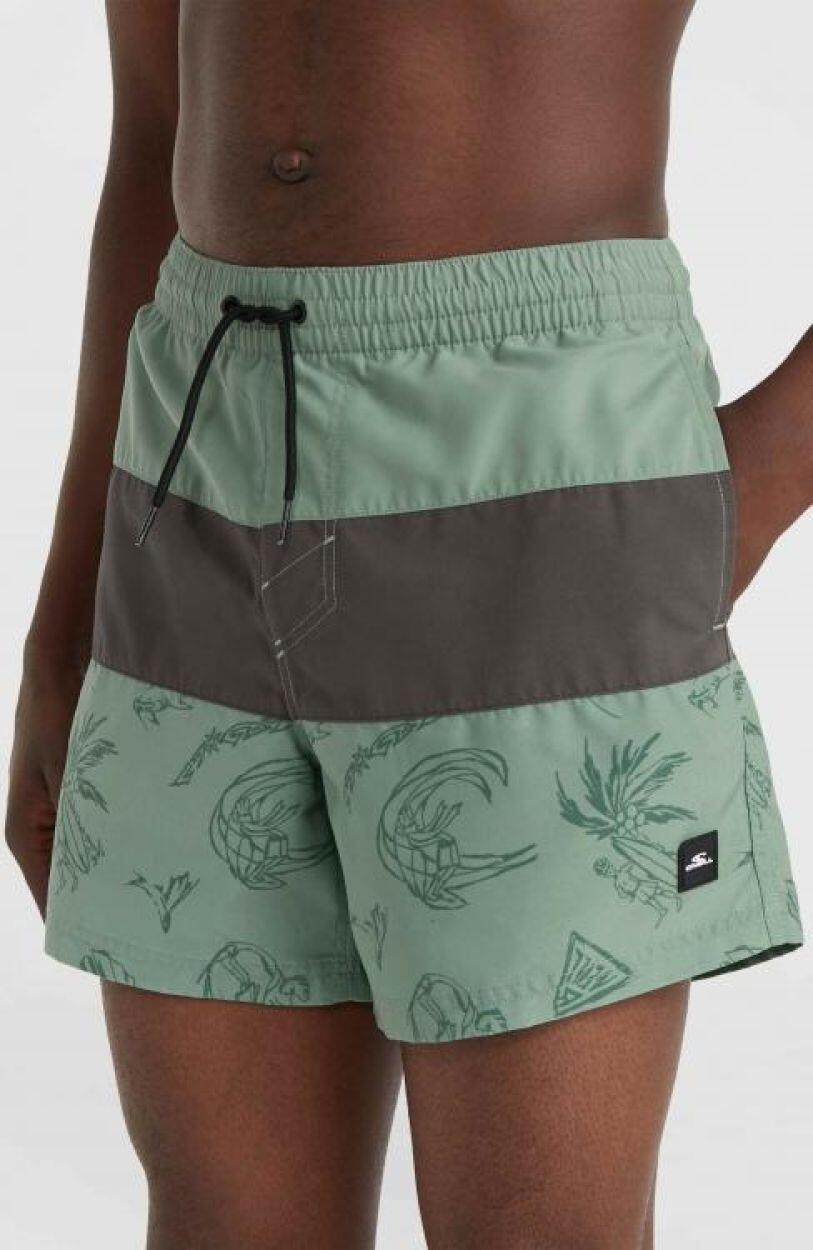 O'NEILL Zwembroeken MIX & MATCH CALI BLOCK 15'' SWIM SHORTS 4/5