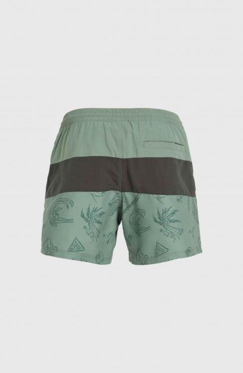 O'NEILL Zwembroeken MIX & MATCH CALI BLOCK 15'' SWIM SHORTS 2/5