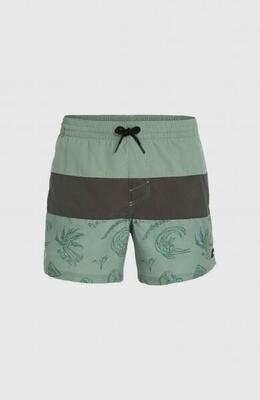 O'neill zwembroeken mix & match cali block 15'' swim shorts