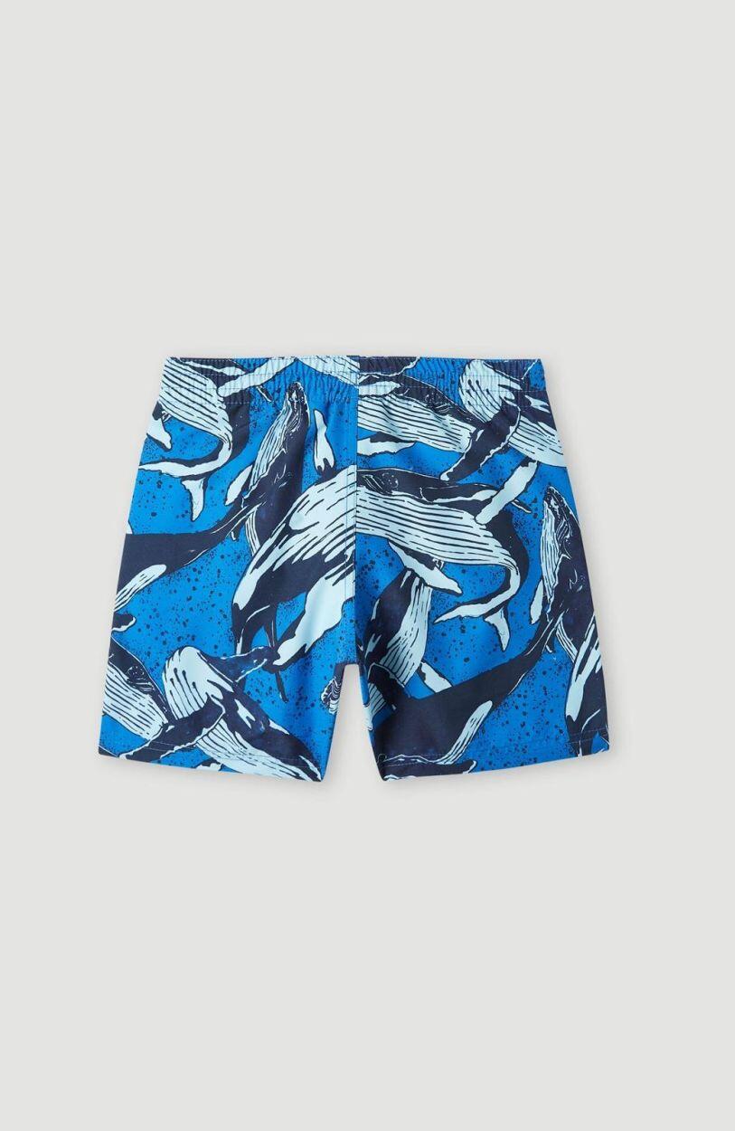 O'NEILL Maillots de bain CALI PRINT 13'' SWIM SHORTS  Garçons Blue Whales 2/4