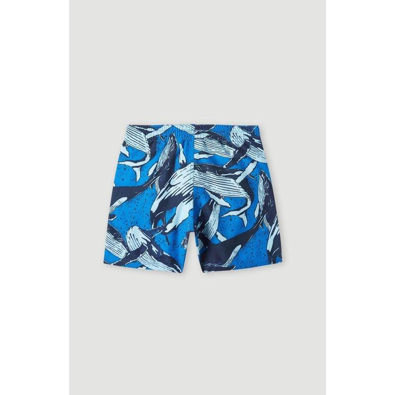 O'NEILL Maillots de bain CALI PRINT 13'' SWIM SHORTS  Garçons Blue Whales