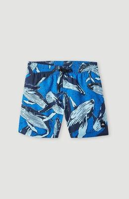 O'neill o'neill zwemkledij cali print 13'' swim shorts boys' blue whales