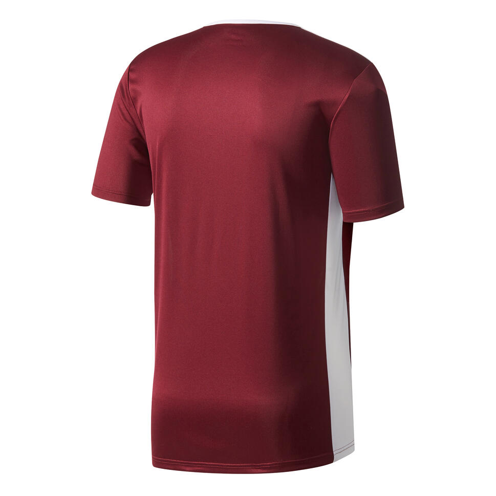 Koszulka dla dzieci adidas Entrada 18 Jersey Junior bordowa