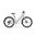 Bicicletta elettrica da città Ahooga Modulare Low Step Grigio Seta