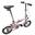 Joy - WOMEN/KIDS 12" FOLDING BIKE - PINK