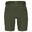 Shorts Pinewood Abisko Light Stretch