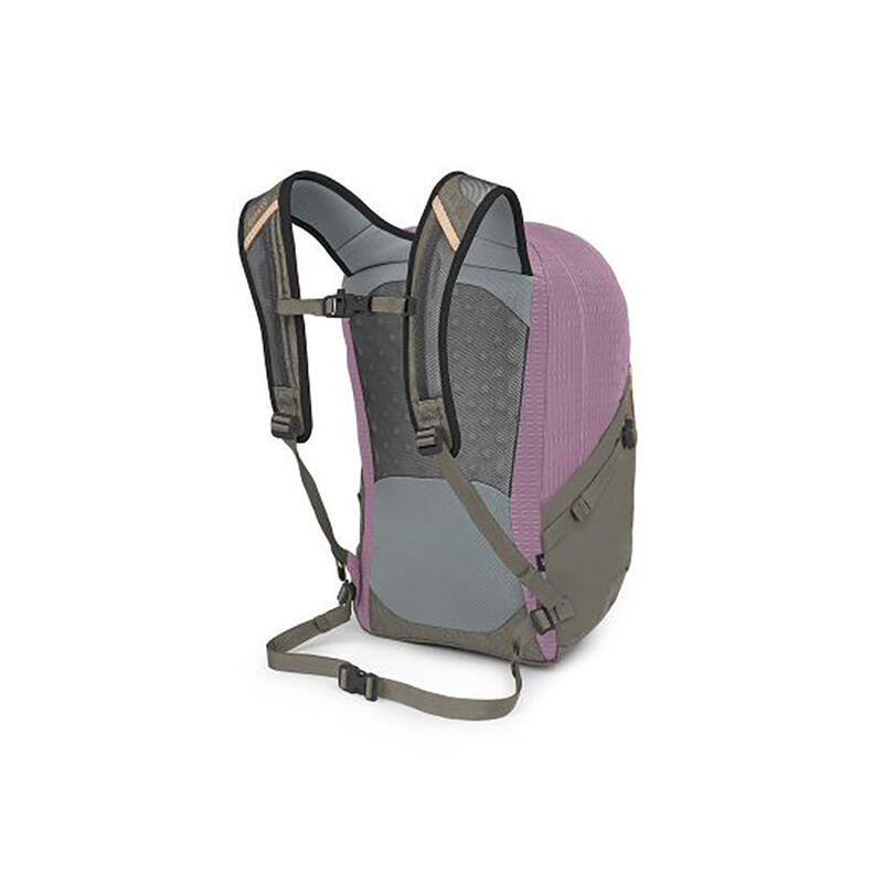 Quasar 26 Unisex Everyday Use Backpack 26L - Pink x Grey