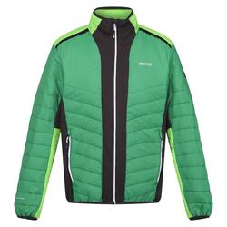 Veste Matelassée HALTON Homme (Vert Des Champs / Vert Jasmin)