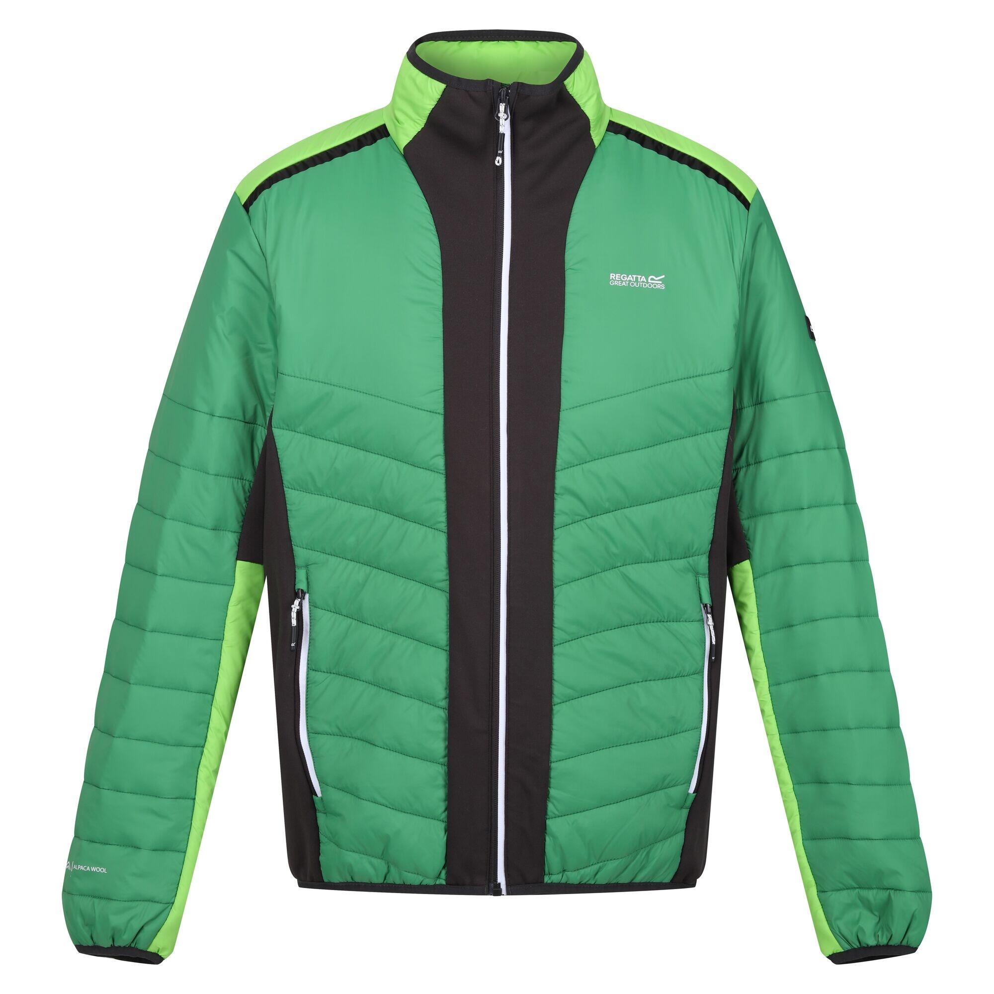 REGATTA Mens Halton VII Contrast Panel Baffled Padded Jacket (Field Green/Jasmine Green)