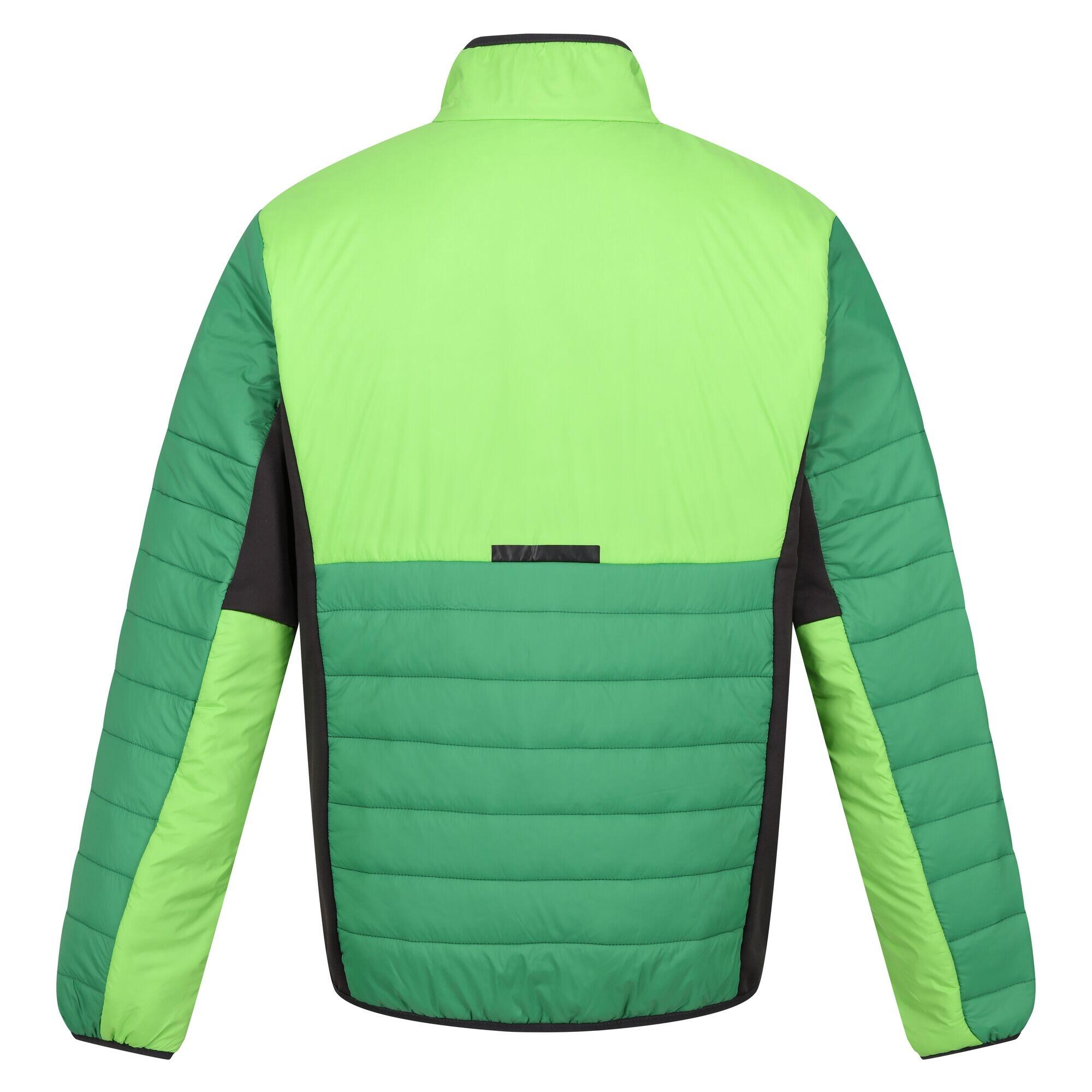 Mens Halton VII Contrast Panel Baffled Padded Jacket (Field Green/Jasmine Green) 2/5