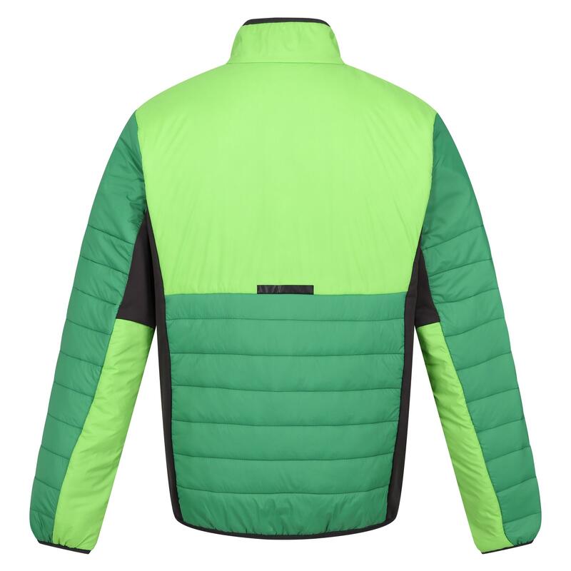 Veste matelassée HALTON Homme (Vert des champs / Vert jasmin)