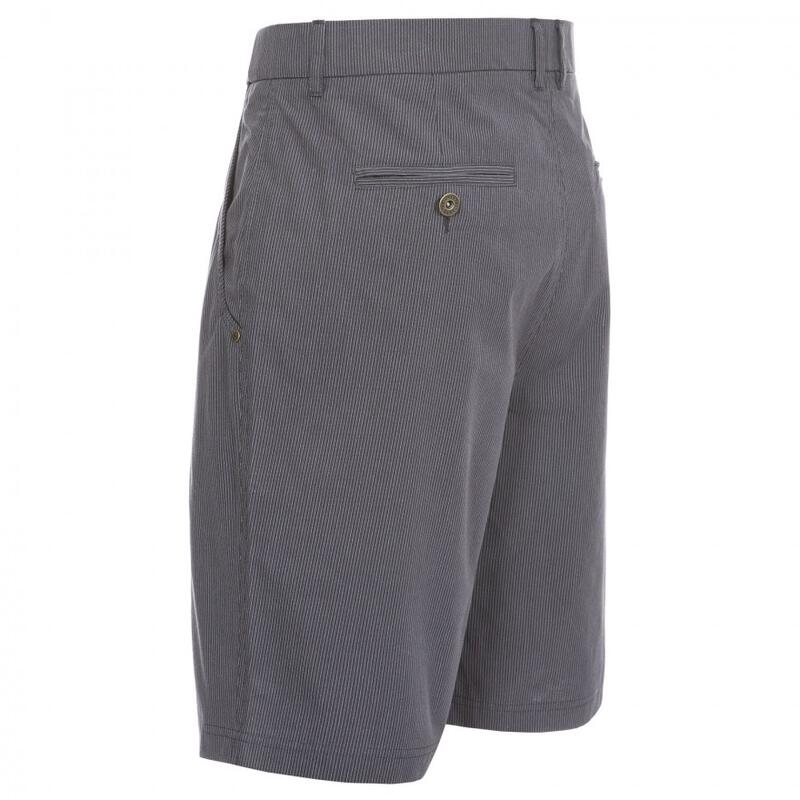 Atom Freizeit Shorts Herren Flint Streifen