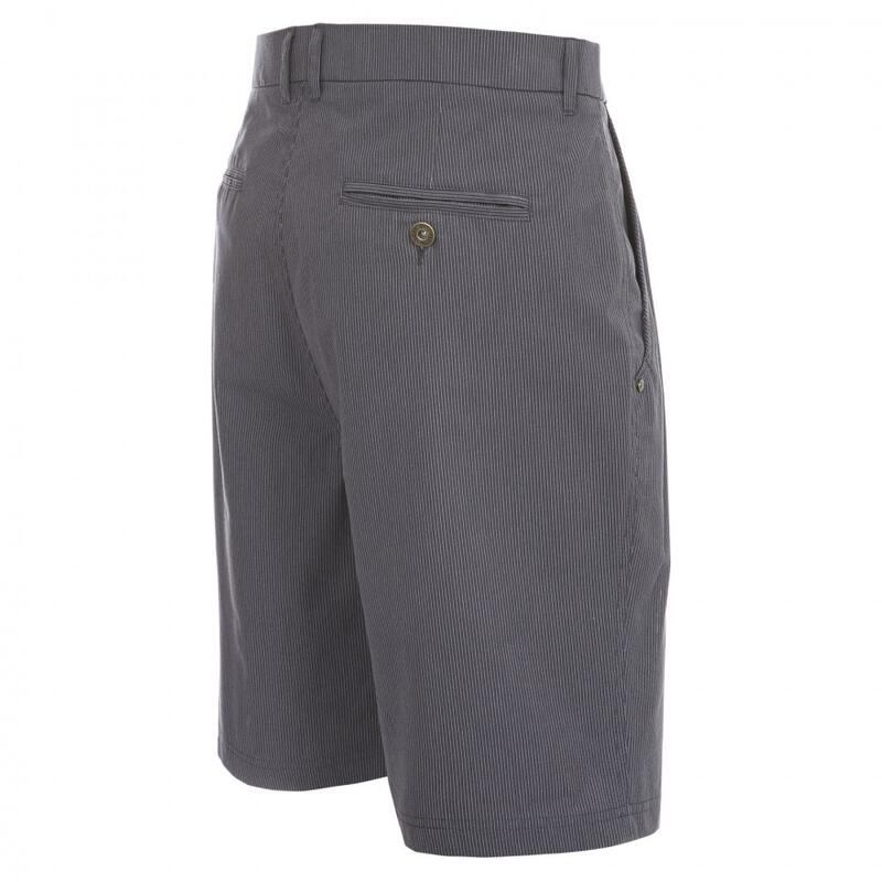 Atom Freizeit Shorts Herren Flint Streifen