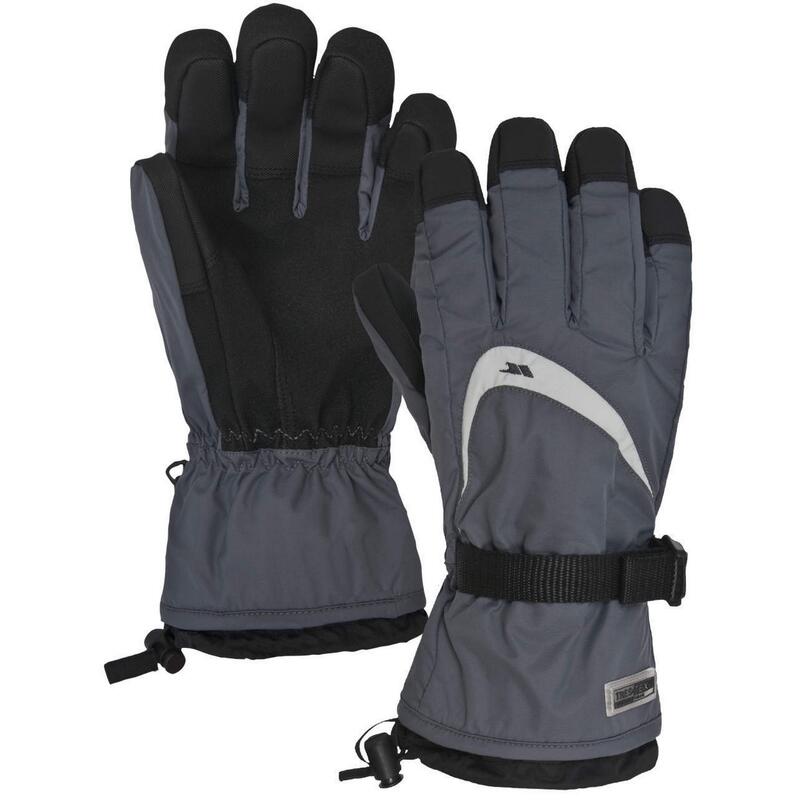 Gants de ski REUNITED II Homme (Gris)