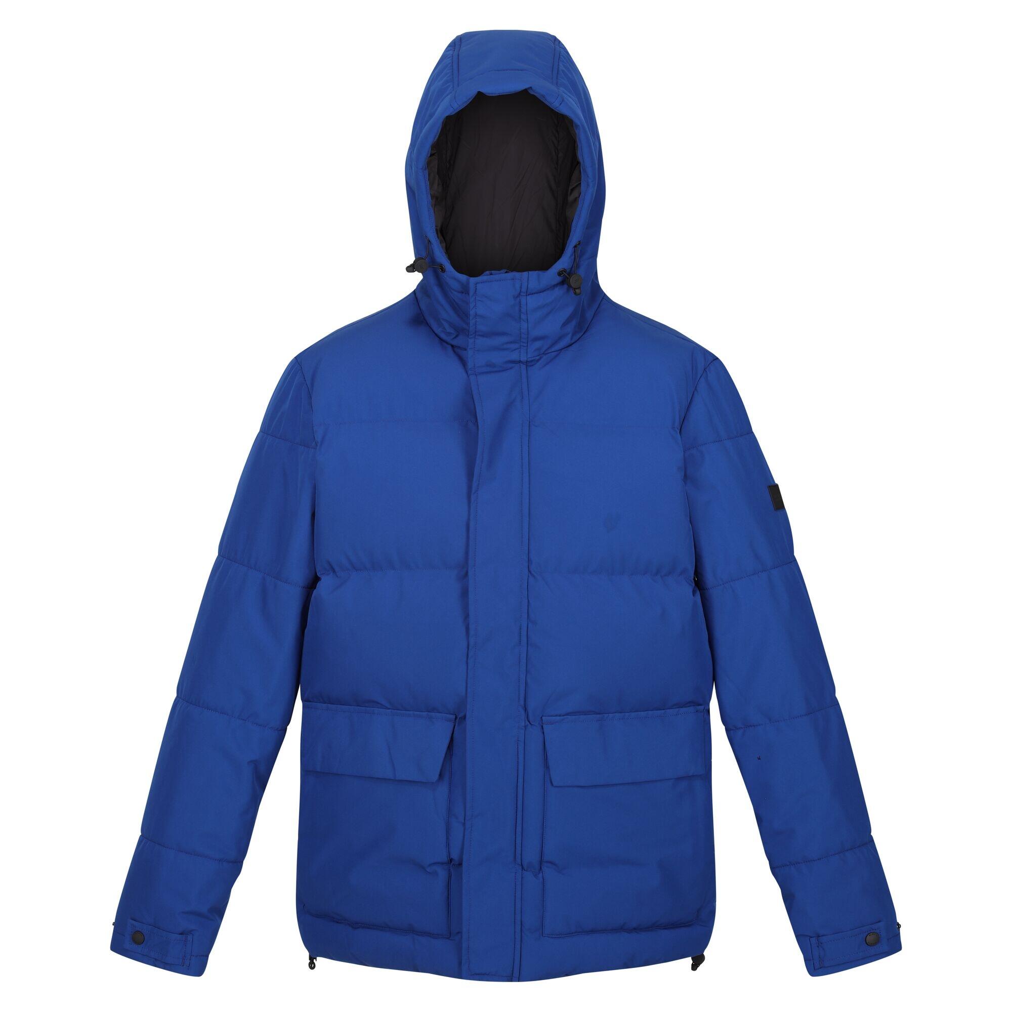 Men's FALKNER quilted jacket (Royal blue)