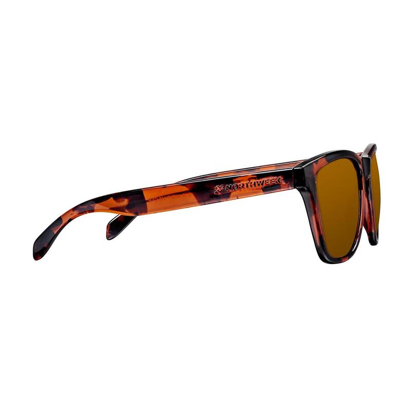 NORTHWEEK - Lunettes de soleil pour les hommes et les femmes tortue -  REGULAR