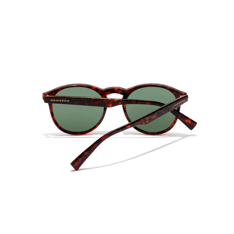Óculos de sol para homens e mulheres polarizados Carey Green - BEL AIR