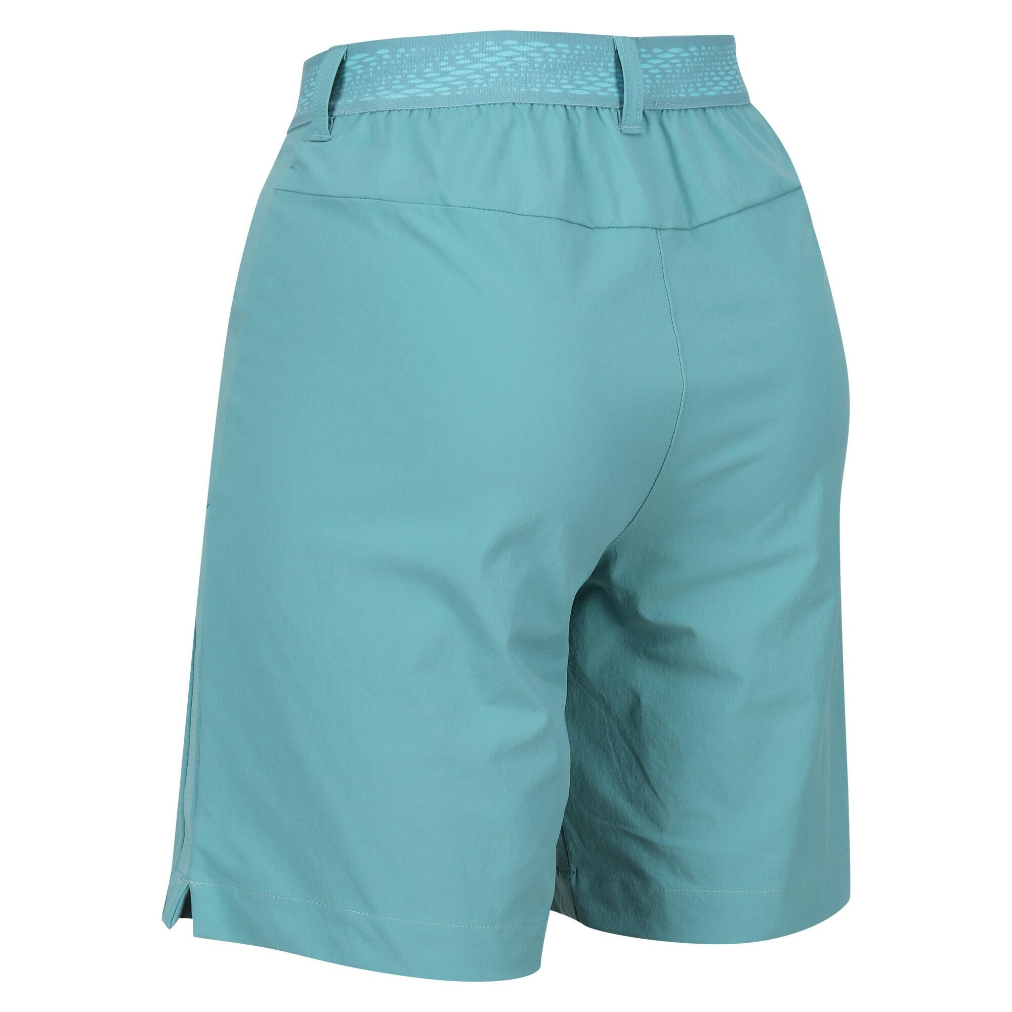 Womens/Ladies Mountain II Shorts (Bristol Blue) 4/5