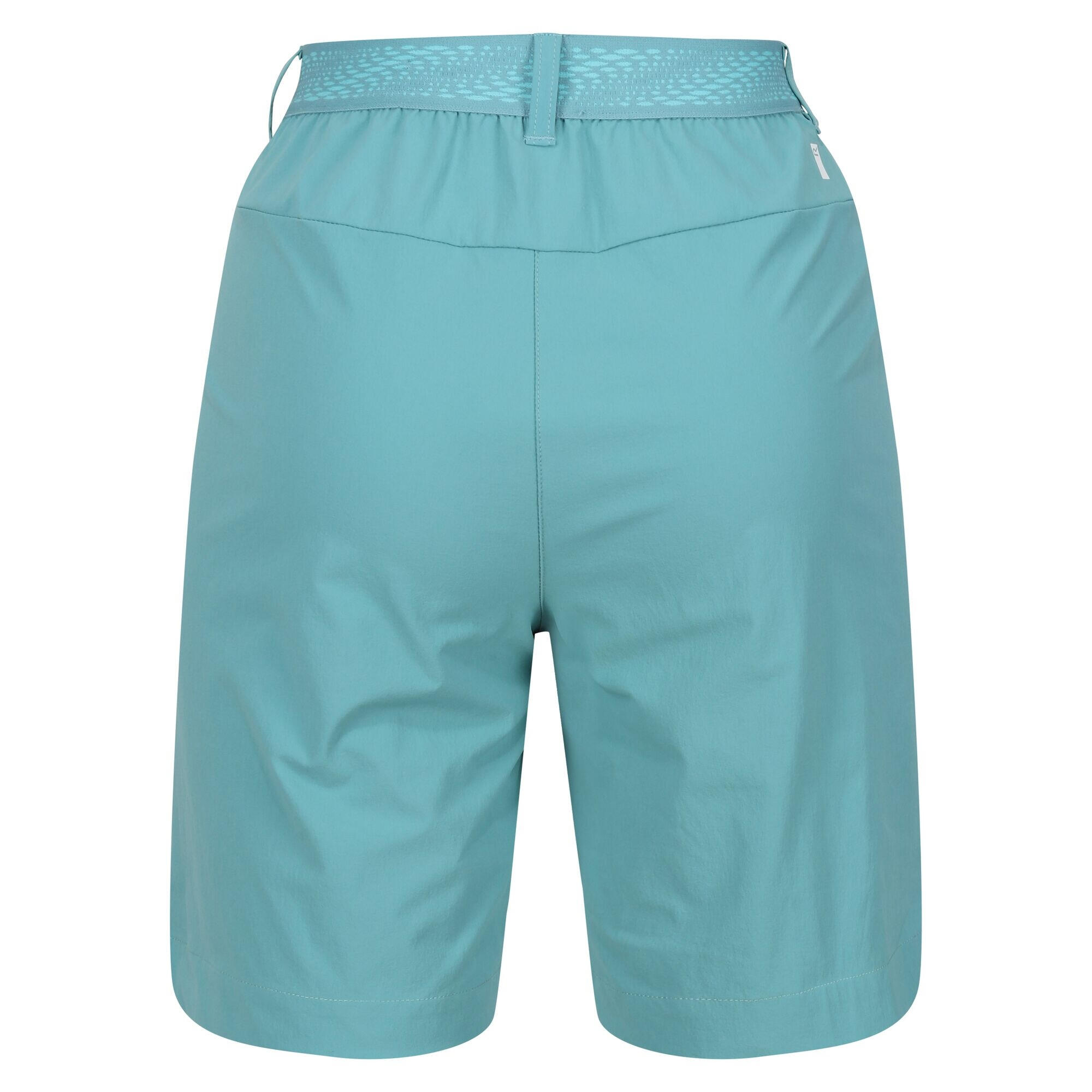 Womens/Ladies Mountain II Shorts (Bristol Blue) 2/5