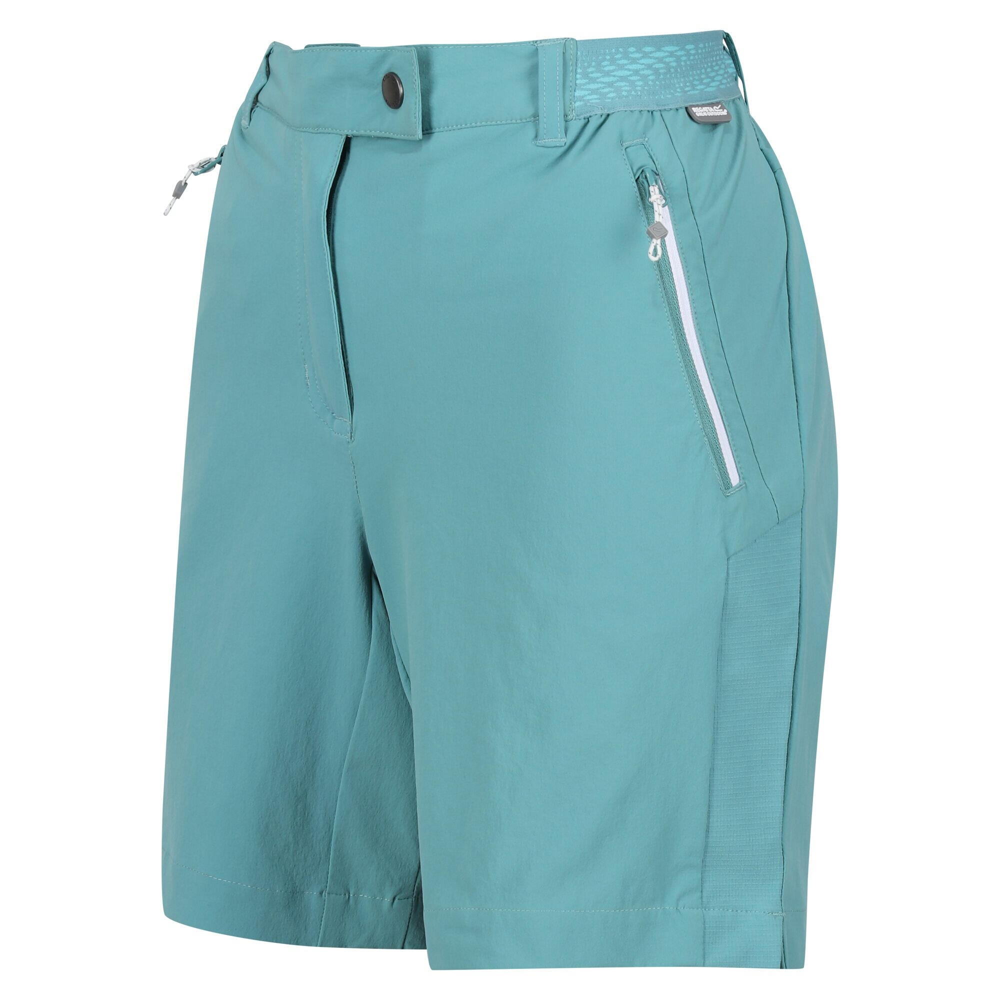 Womens/Ladies Mountain II Shorts (Bristol Blue) 3/5