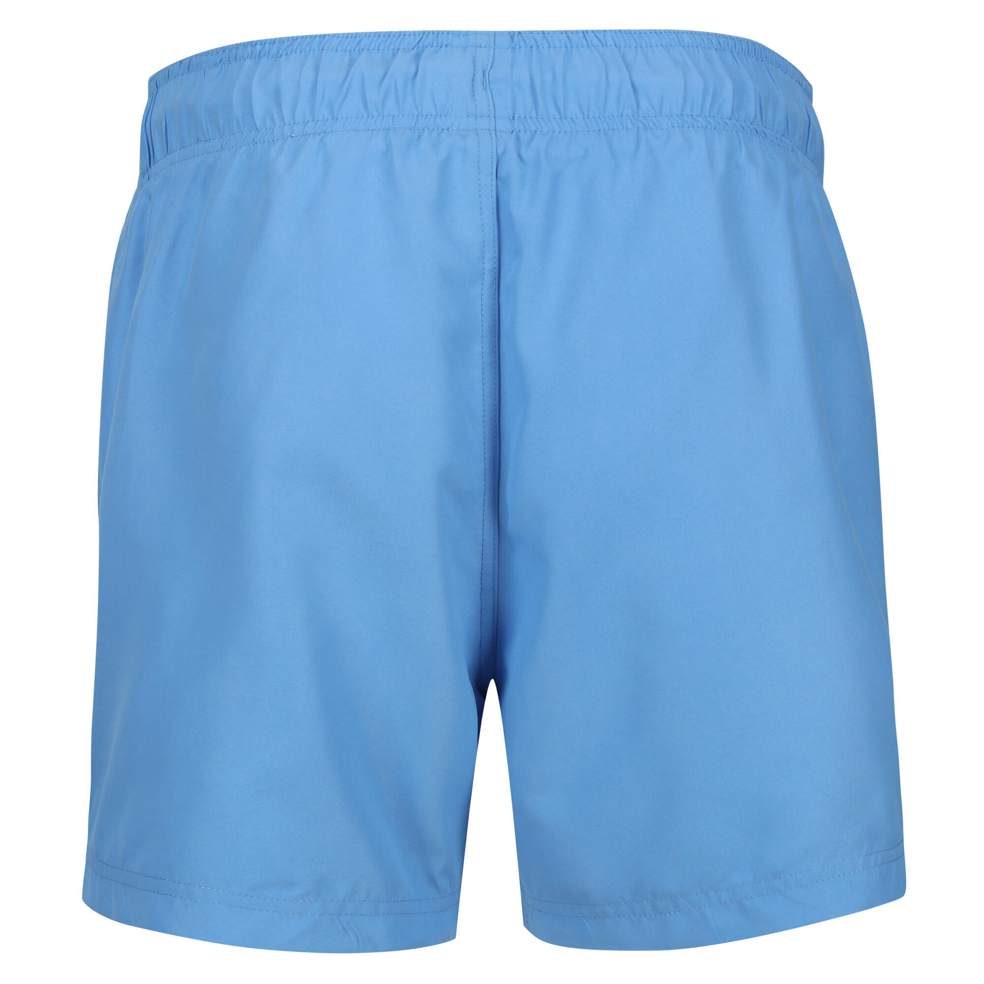 Mens Mawson II Swim Shorts (Lake Blue) 2/5