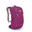 Airzone Active 22 Unisex Hiking Everyday Used Backpack 22L - Grape