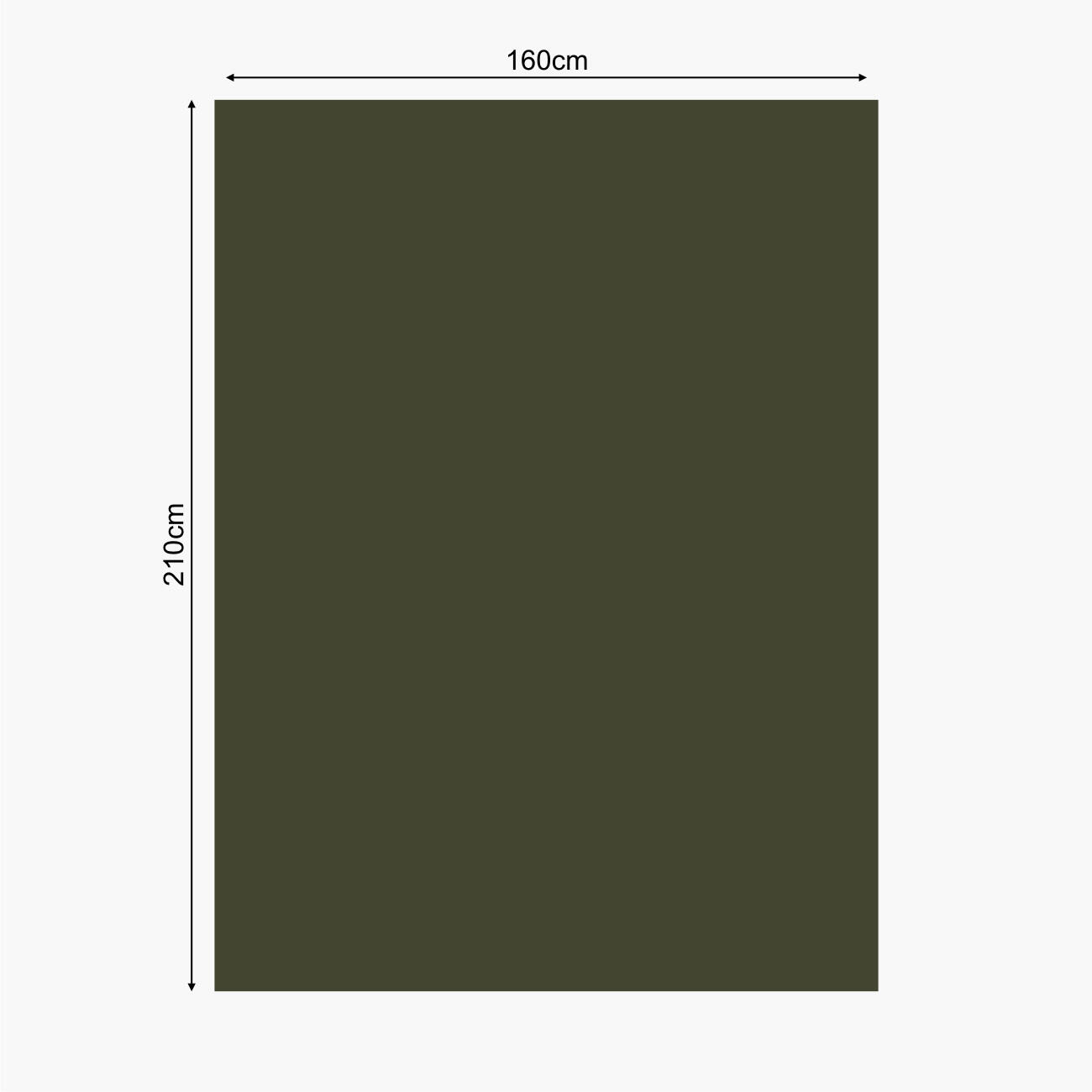 Lomo Military Emergency Foil Blanket - Green 4/6